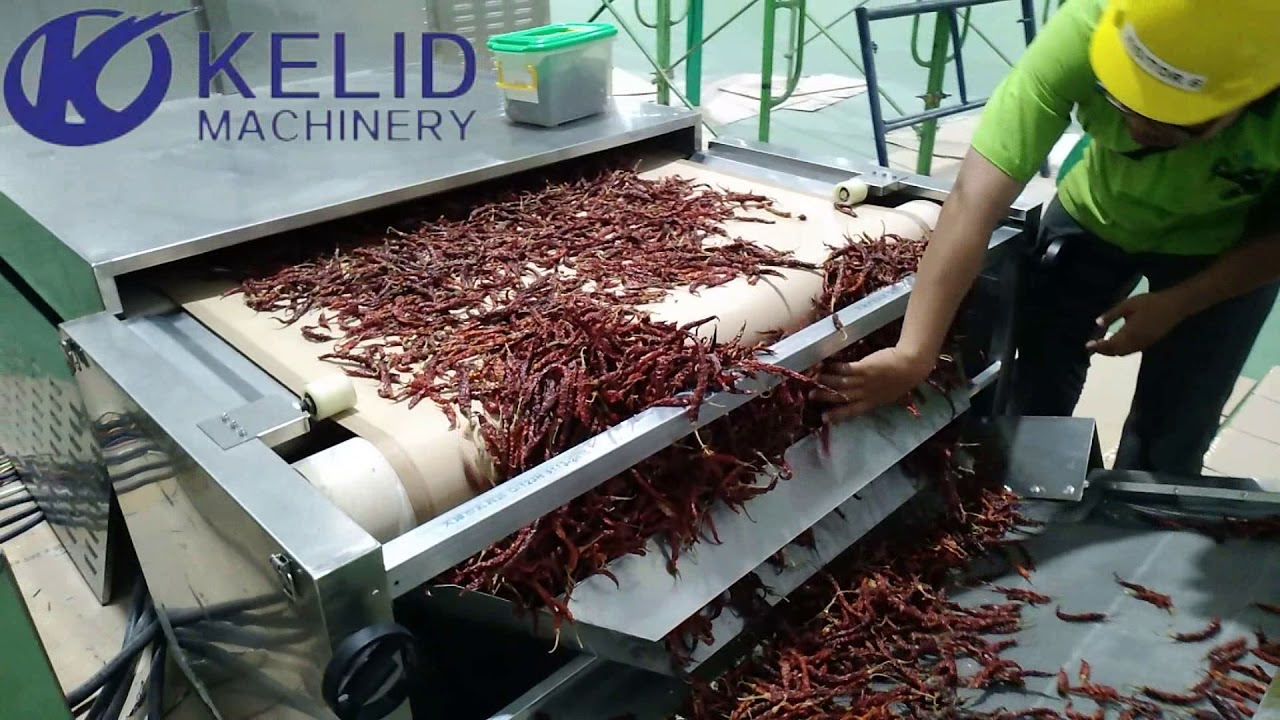 Microwave Chili Hot Pepper Drying Machine YouTube