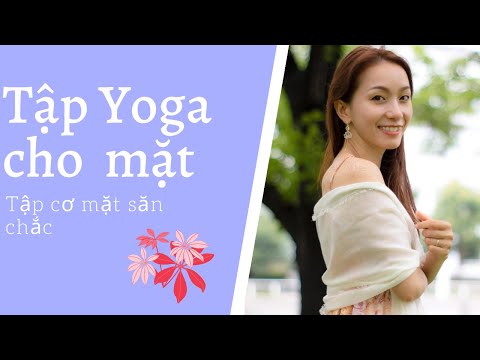 Bài tập Cơ mặt