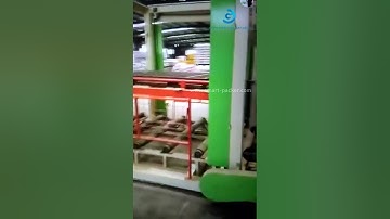 Automatic XYZ type big bag palletizing stacking machine testing video