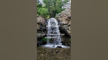 Unlocking the Power of Sleep: Why Quality Rest Is Essential for Your Well-being