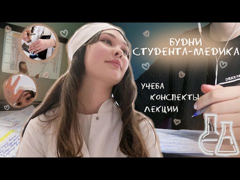 неделя из жизни