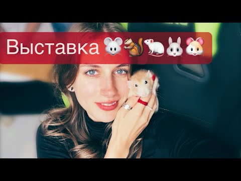 ЗооПалитра 2023 🐭| Выставка грызунов 🐀