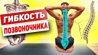 Гибкость ПОЗВОНОЧНИКА