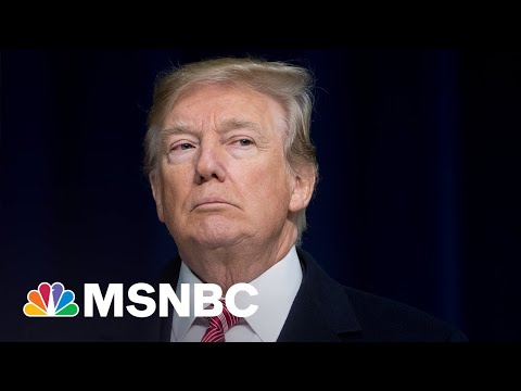 Will Donald Trump Run Again In 2024? | MSNBC