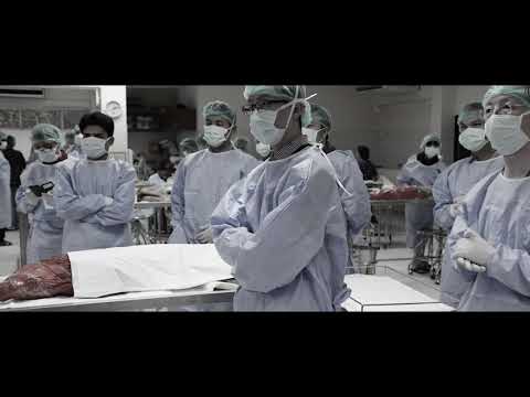 วีดีโอ: โลกแห่งจุลทรรศน์สัตวแพทยศาสตร์