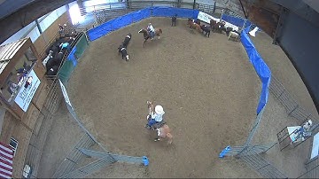 Big Sky Ranch Sorting Saddle Series Finals - Draw - Round #2 - Ride #6