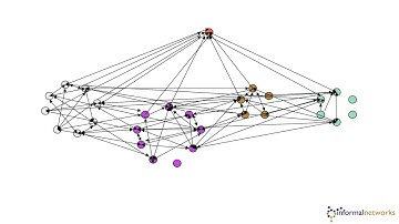 A glimpse into the power of network analysis