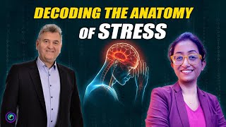 Revealing the Two Major Factors Causing Stress| Silva Method Official x Dragan Vujovic
