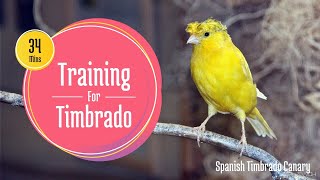 Spanish Timbrado Training CD