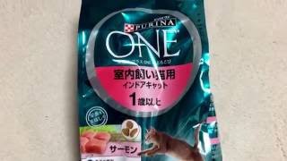 cat  PURINA  ONE  キャットフード  室内飼い猫用のレビュー