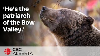 Born To Run The Boss Takes A Trip To Canmore