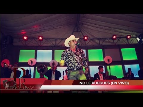 PEDRO RIVAS -