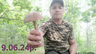 : Ĳ ղ  ˲. 9  2024. , ...