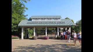 Quick Tour Of Cincinnati Zoo 2021