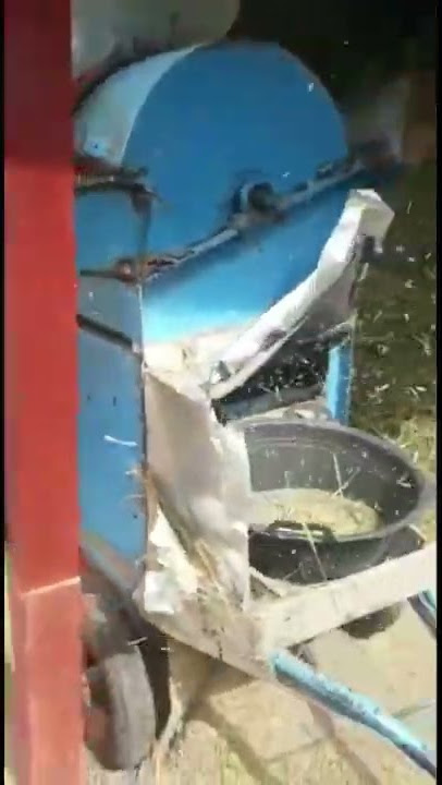 Tleser Padi 3 output #panenpadi #padi #shorts
