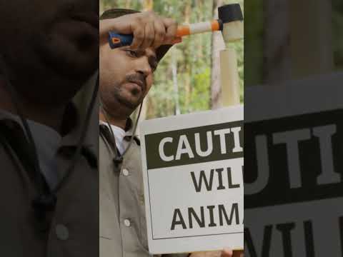 Bestest Jobs for