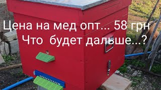 цена на мед опт... 58. чего же ждать...?