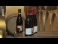 Bodegas Jimenez Landi
