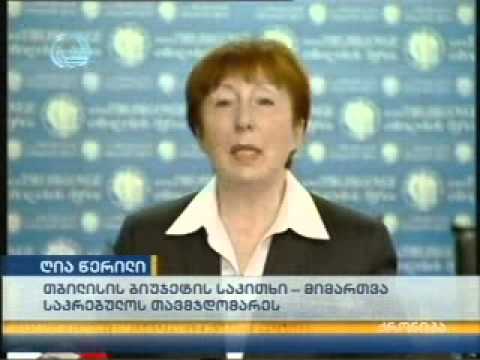 თბილისის მერიამ საკრებულოს ღია წერილით მიმართა