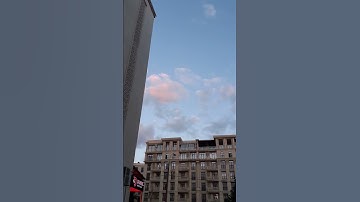 Spring vibes #shorts #shortsvideo #spring #vibes #spring2024 #2024 #fyp