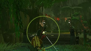 The Legend of Zelda Breath of the Wild[Cemu 1.16.1 Vulkan][5700XT][Ultrawide][Gameplay]