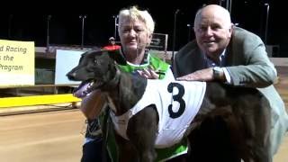 2016 Shepparton Cup Feature Races
