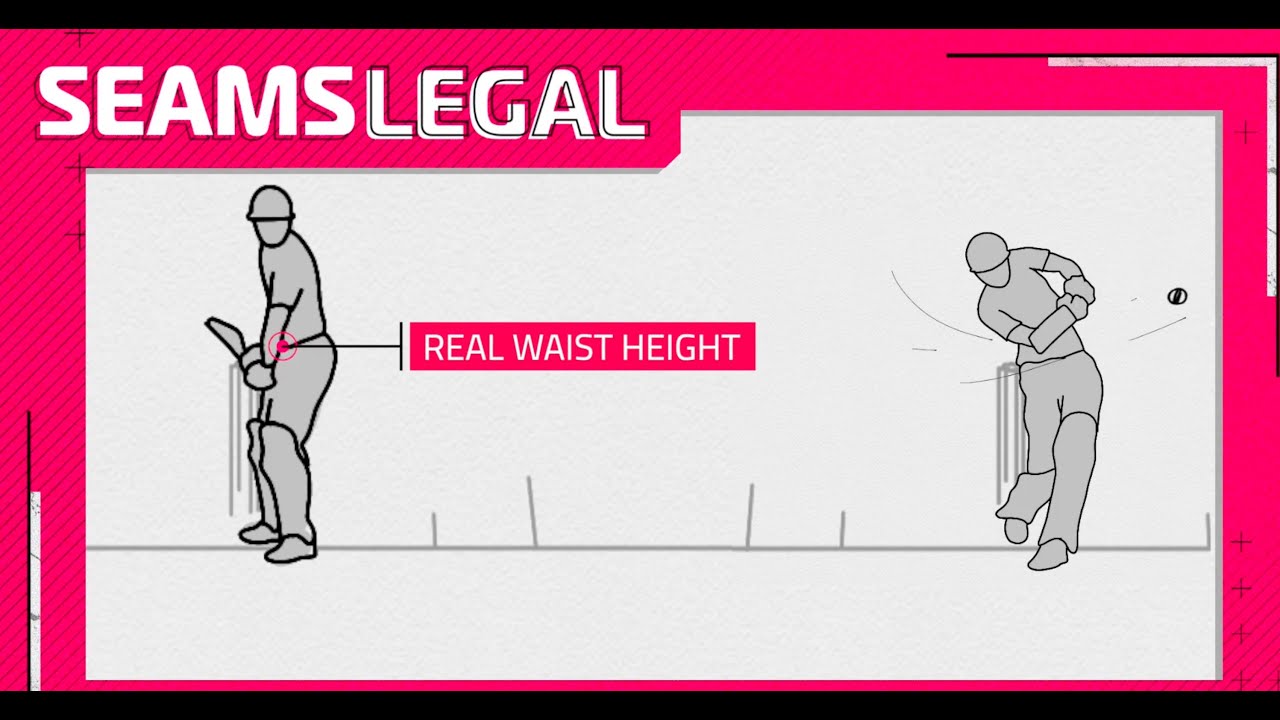 Cricket Rules Explained When Is A Waist High Full Toss A No Ball 