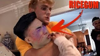 YOUTUBERS vs HATERS (FIGHTS) Ft. Ricegum, Logan Paul, Faze Rug, Jake Paul & more