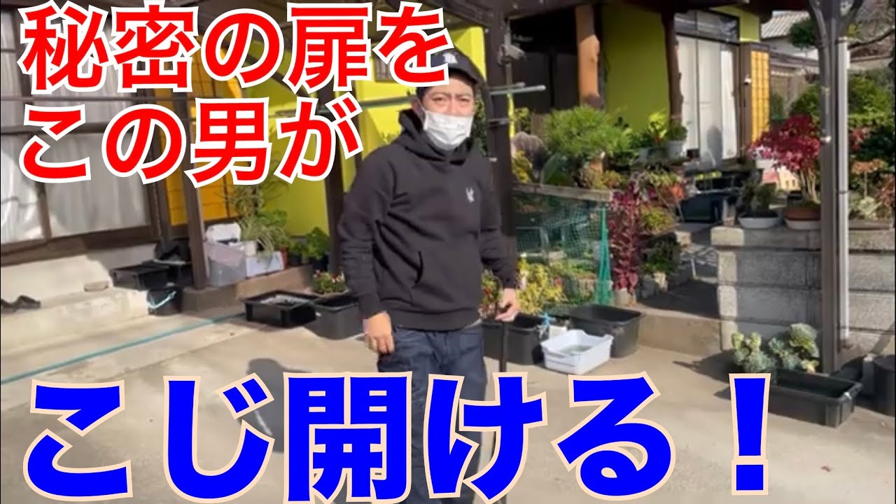 世界メダカ奇行福岡県筑後めだか後編/メダカ改良現場へ突入❗️めだか監督シリーズ