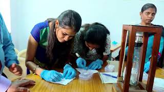 Hands on Training on DSSC