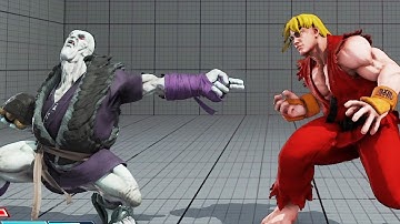 Ridiculous Ken whiff punish