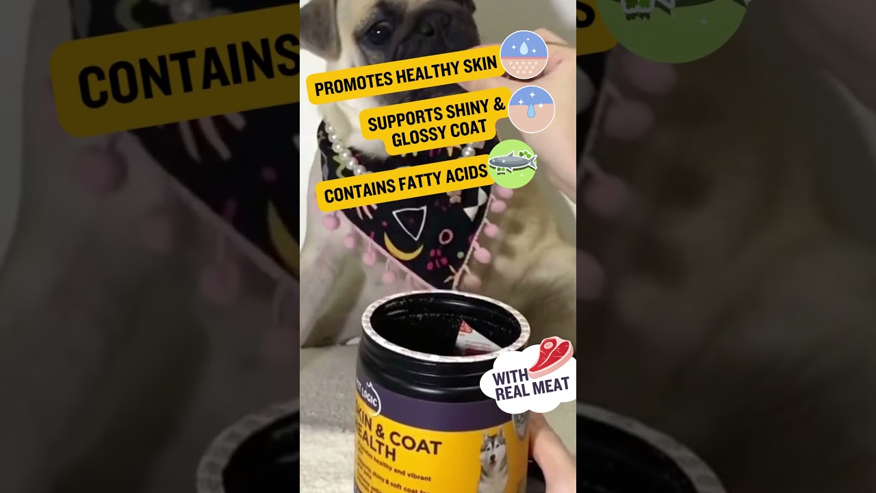 #1 Recommended Skin & Coat Supplement for Dogs & Cats