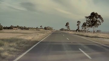 Tesla Autopilot Detects Ducks Crossing the Highway || ViralHog