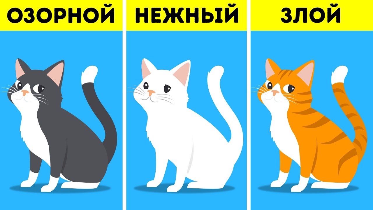 как определить породу
