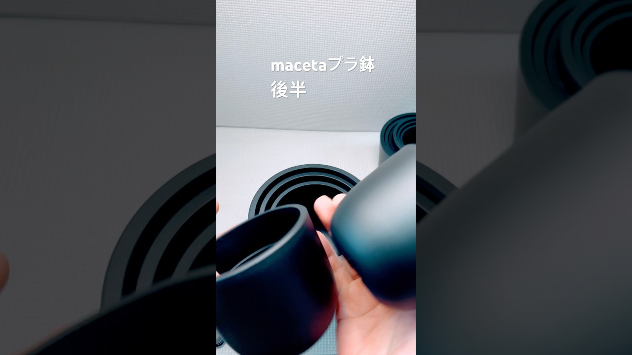 2025年9月11日#maceta #プラ鉢