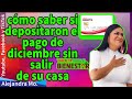 PENSION BIENESTAR cómo saber si depositaron el pago de diciembre sinsalir de su casa