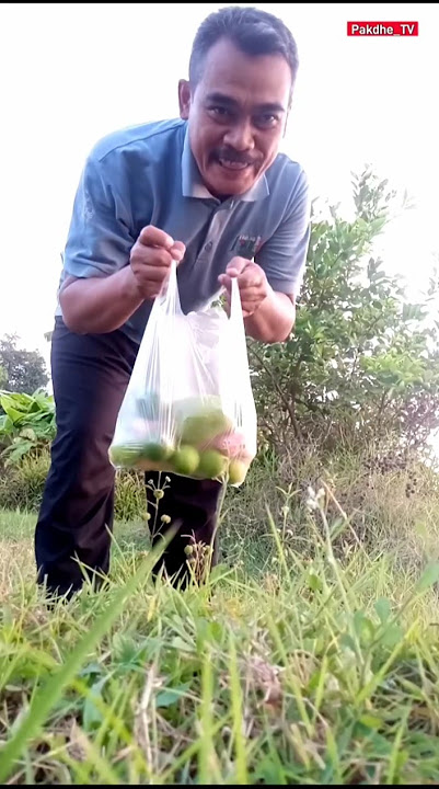 Ono🐐 🥭🍊.....golek seger seger sore.....😄👍