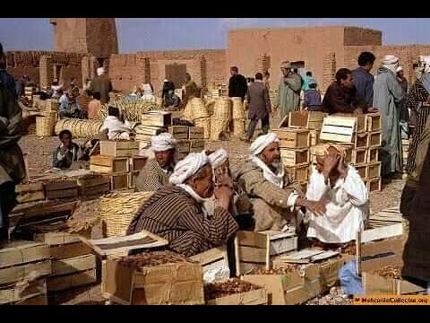 جولة بسوق تاكونيت 