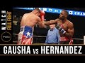 Gausha vs Hernandez FULL FIGHT: PBC on Bounce - February 10, 2017