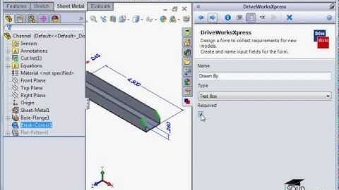 1 DriveWorksXpress   4 Creating the Input Form