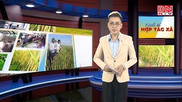 HỘI CHỢ XÚC TIẾN THƯƠNG MẠI DÀNH CHO CÁC HỢP TÁC XÃ KHU VỰC MIỀN NAM