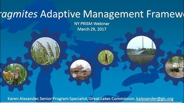 The Phragmites Adaptive Management Framework (March 2017)