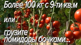 Более 100кг с 9-ти кв.м. Неотапливаемая теплица.