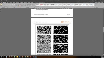 Lab3 - Report Requirements