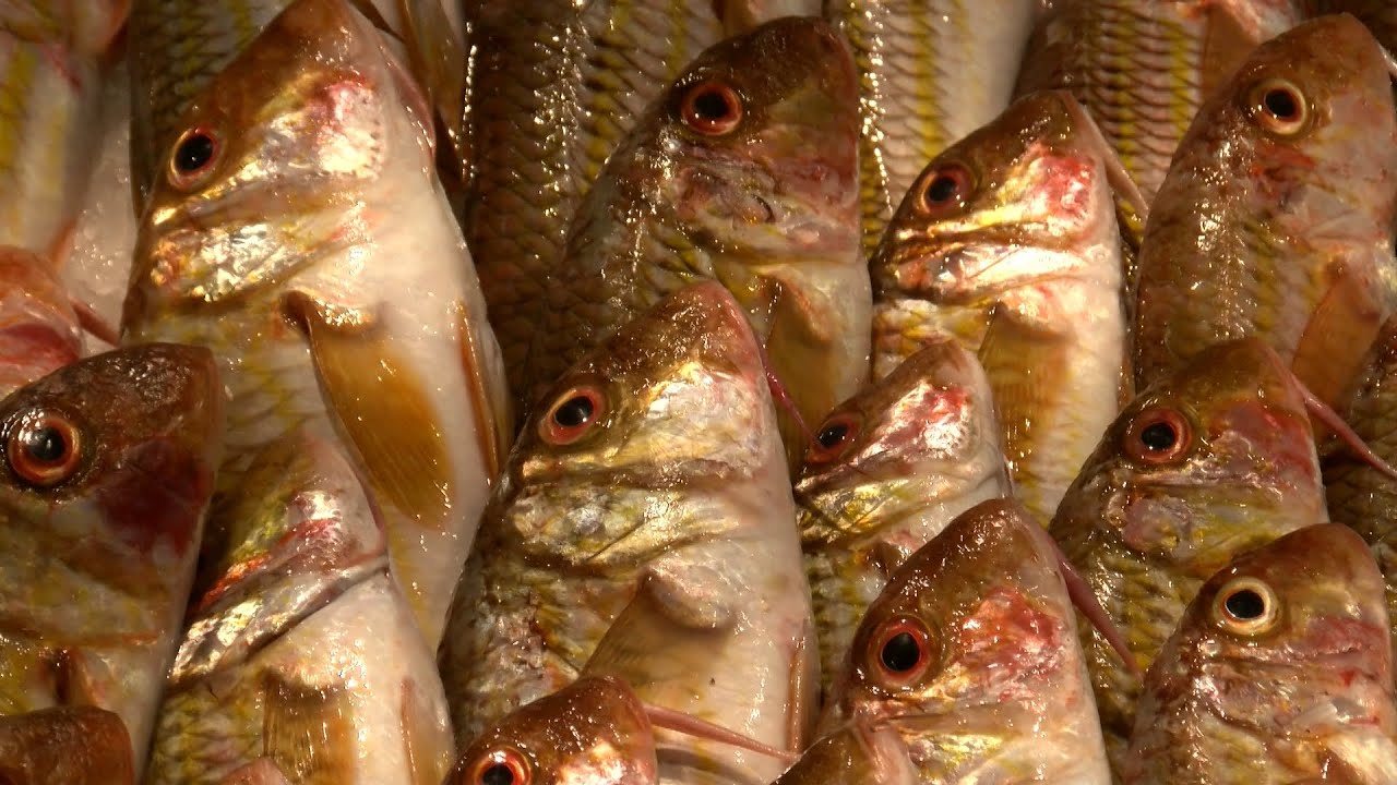 Latomare pescheria Bacoli