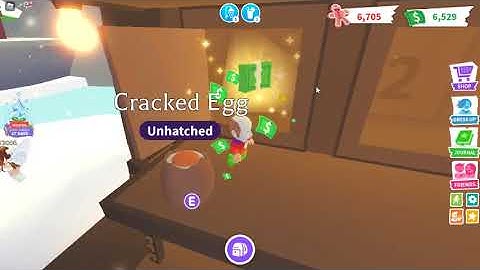 Advent Calendar 2021 Day 9 Adopt Me