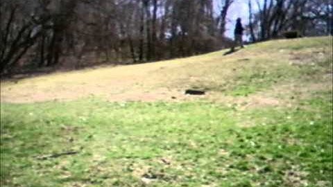 rustler backflips.wmv