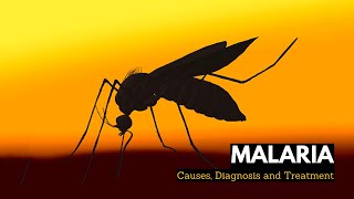 What is Malaria, Causes, Signs and Symptoms, Diagnosis and Treatment. screenshot 1