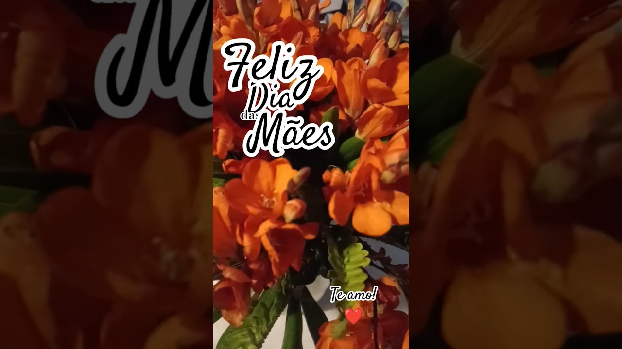 Gratidão Dia das mães. #amor #diadasmães #mensagem #mãe
