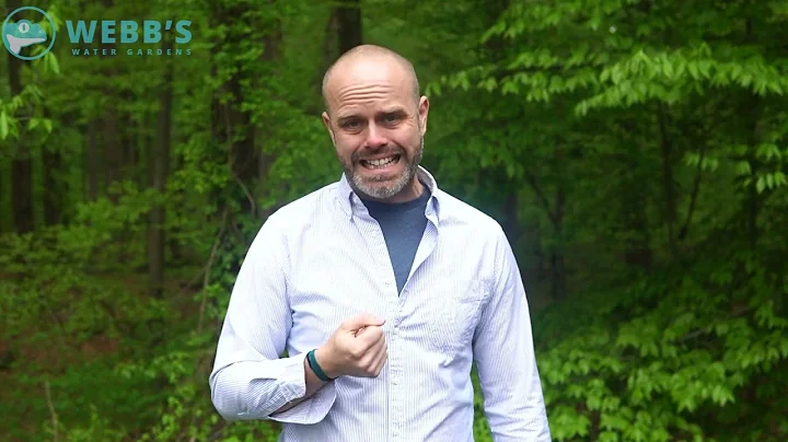 Tech Tips: Oxygen in Your Pond